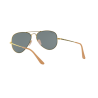 Occhiali da sole Ray-Ban 3689