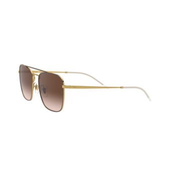 Occhiali da sole Ray-Ban 3588