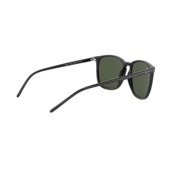 Occhiali da sole Ray-Ban 4387