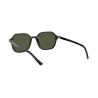 Occhiali da sole Ray-Ban 2194