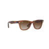 Occhiali da sole Ray-Ban 9066S