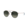 Occhiali da sole Ray-Ban 3647N