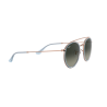 Occhiali da sole Ray-Ban 3647N