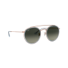 Occhiali da sole Ray-Ban 3647N