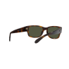 Occhiali da sole Ray-Ban 4388