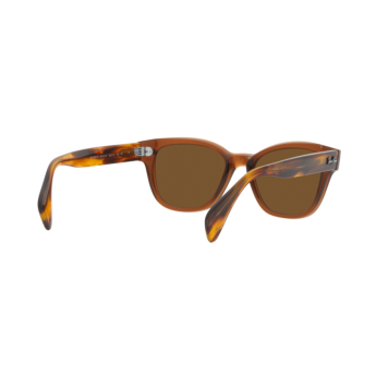 Occhiali da sole Ray-Ban 0880S