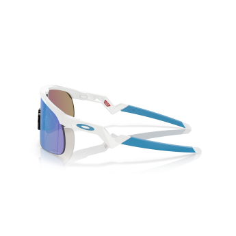 Occhiali da sole Oakley 9010