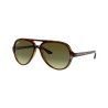 foto Occhiali da sole Ray-Ban 4125