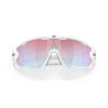 Occhiali da sole Oakley 9290