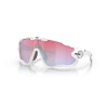 Occhiali da sole Oakley 9290