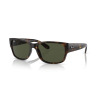 Occhiali da sole Ray-Ban 4388